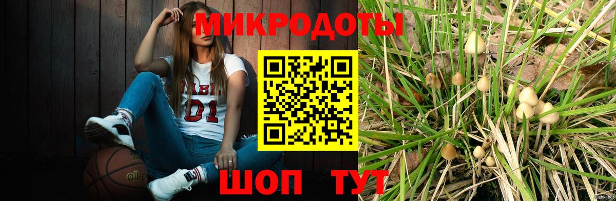 Галлюциногенные грибы мухоморы  Вход с VPN  Сорочинск  Галлюциногенные грибы мицелий 